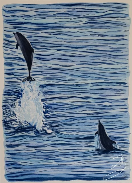 Dauphins d'Iroise — peinture