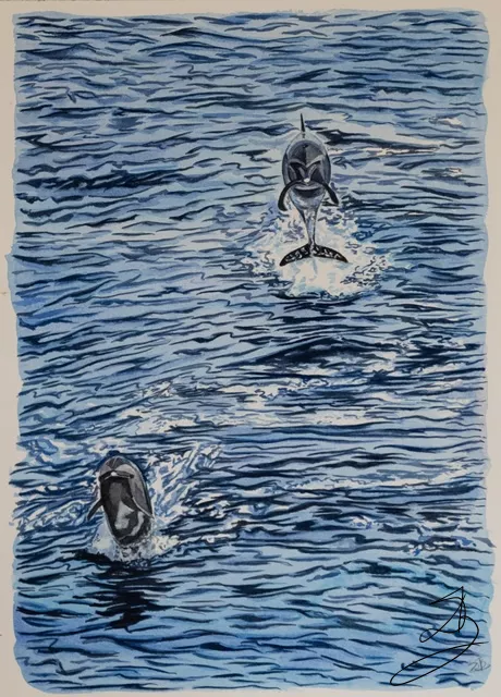 Dauphins d'Iroise — peinture
