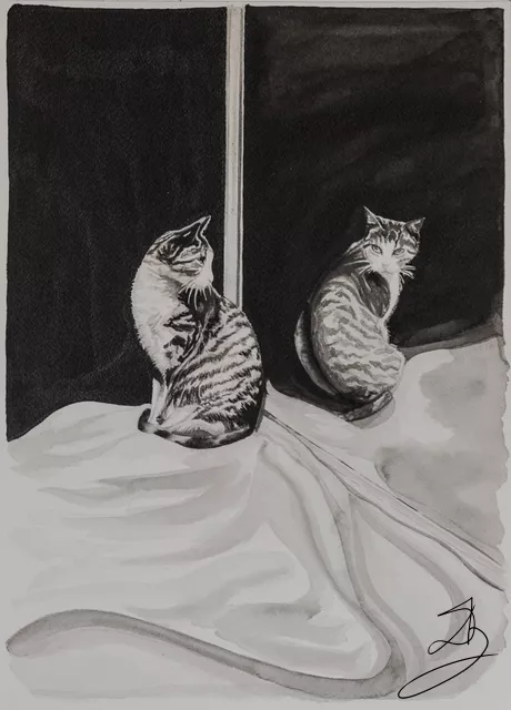 La chatte au miroir — Encre